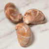 Charlotte - Berlingots de mer