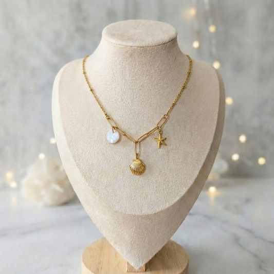 Solen - ormeaux de Molène